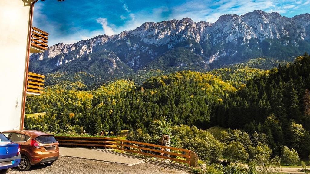 Hotel Panorama Pietrei Craiului Zărneşti Zewnętrze zdjęcie