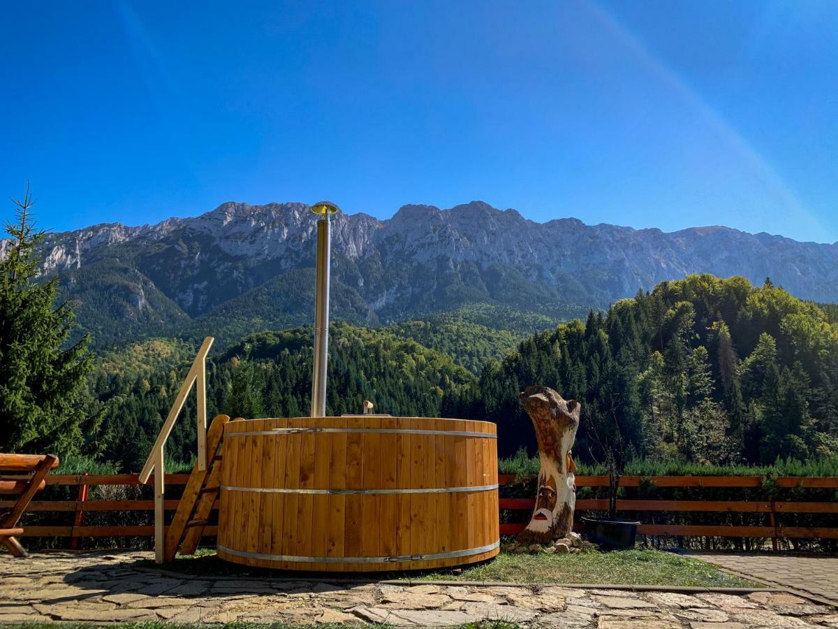 Hotel Panorama Pietrei Craiului Zărneşti Zewnętrze zdjęcie